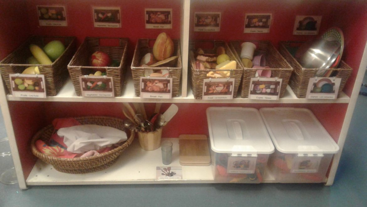 Toddler Room Newsletter February 2019