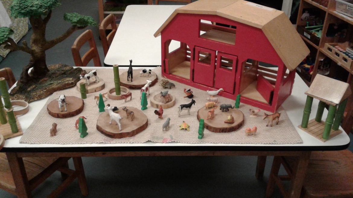 Senior Room Newsletter January 2018