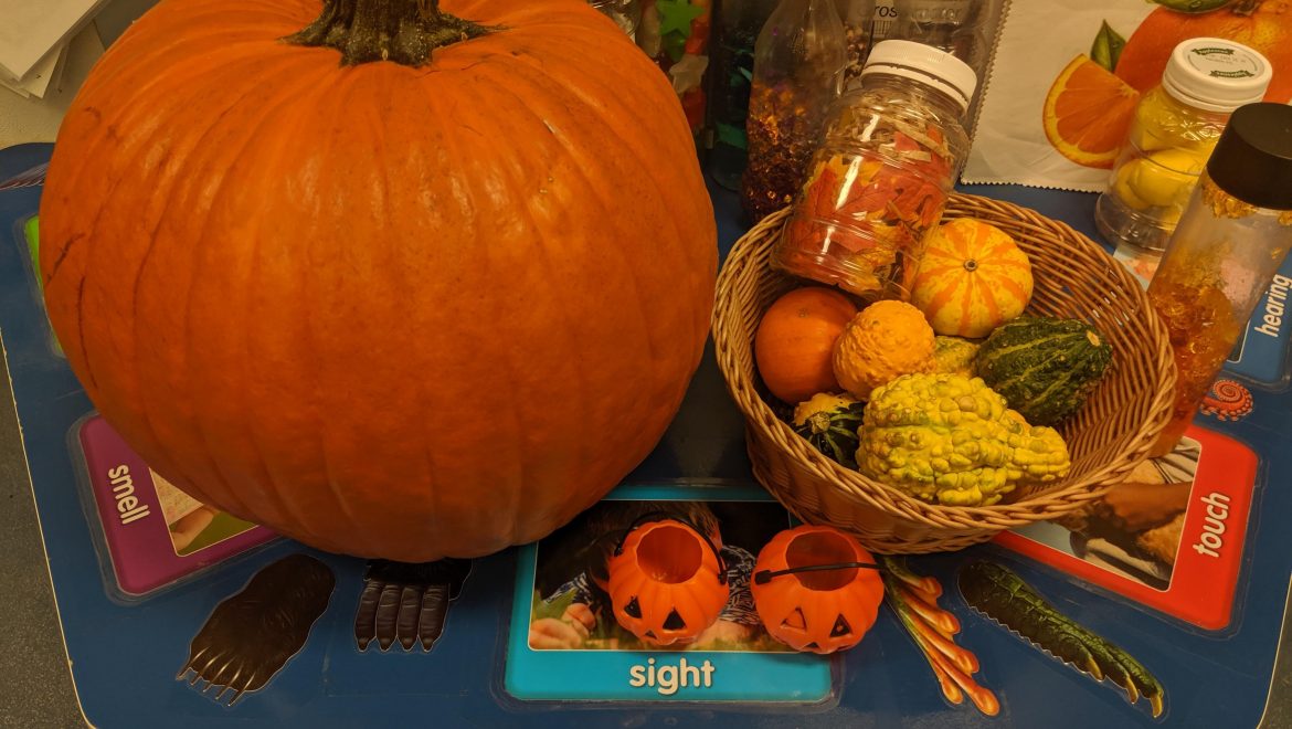 Infant Room Newsletter November 2019