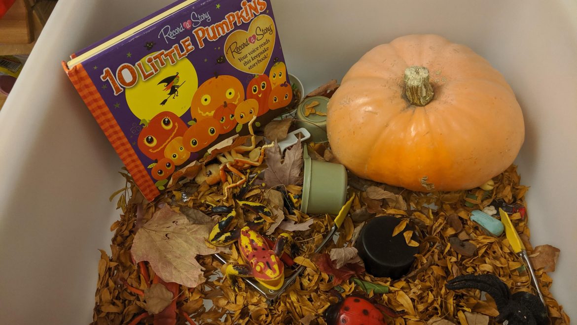 Junior Room Newsletter November 2019